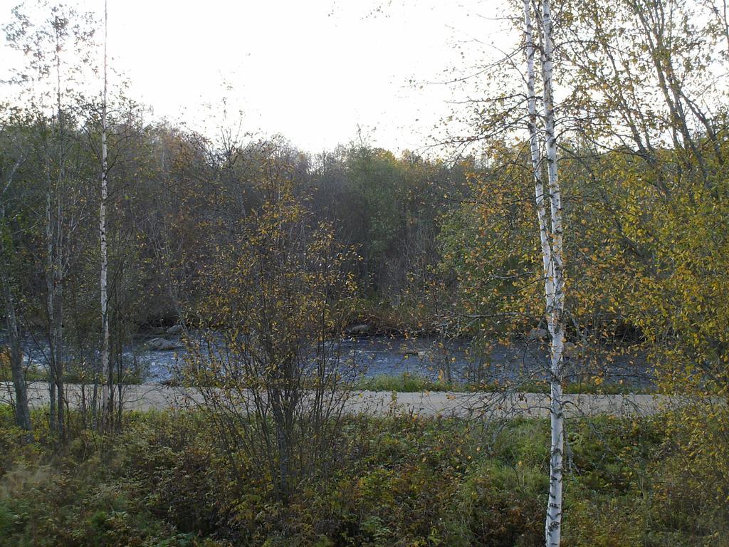 Pihlajamaeen Lomamoekit Vanhakyla Exteriör bild